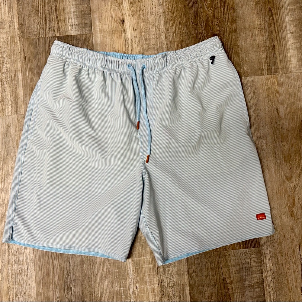 Cova Men's Light Blue and White Striped Swim Shorts (NWOT)